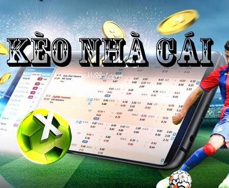 Tỷ Lệ Kèo Nhà Cái FUN88 – Xem Tỷ Lệ Kèo, Soi Kèo Bóng Đá Trực Tuyến
