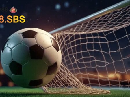 Cách chia vốn đánh kèo: Bạn cần phải biết